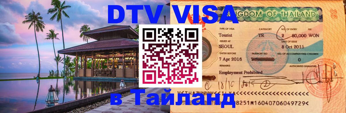 Оформление DTV визы под ключ: стоимость и тарифы, только загранпаспорт - Волжский 